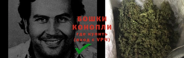 винт Осташков