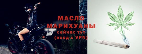 гидра Осинники