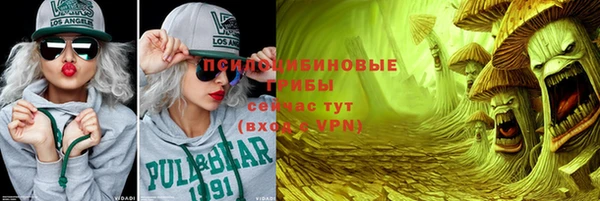 гидра Осинники