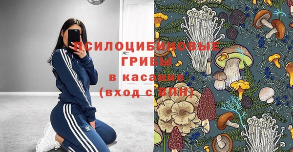 винт Осташков
