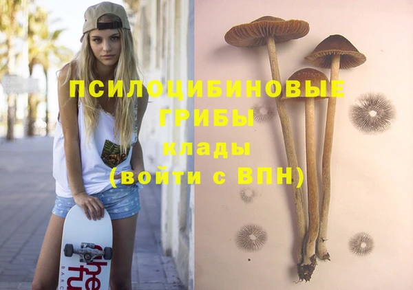 винт Осташков