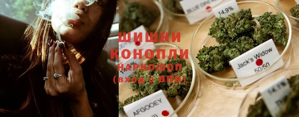 гидра Осинники