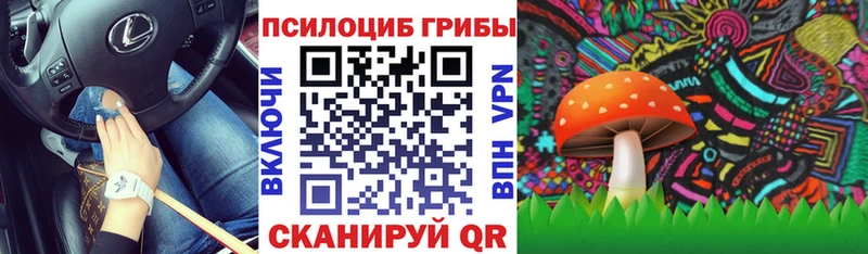 наркота Балахна Псилоцибиновые грибы Psilocybe