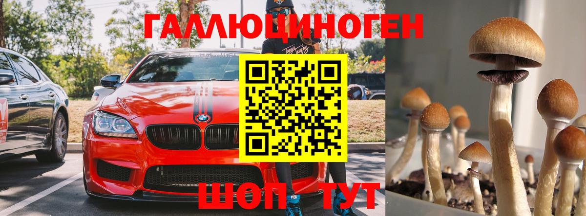 Галлюциногенные грибы мухоморы  Балахна  Галлюциногенные грибы Psilocybe 