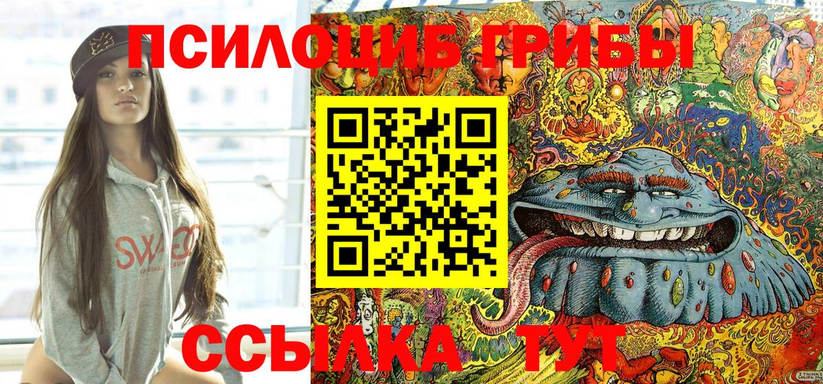 Псилоцибиновые грибы Cubensis  Вход с VPN  Балахна  Псилоцибиновые грибы прущие грибы 